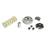 5113597 VARIATORE MALOSSI SYM CITYCOM 300 4T LC euro 3 (LEA 1) MULTIVAR 2000