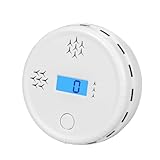 YZIF Monitor rilevatore di monossido di Carbonio, Allarme monossido di Carbonio Portatile, Allarme monossido di Carbonio Domestico, Conforme alla norma EN50291