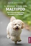 Il grande libro del Maltipoo: Tutto ciò che devi sapere prima di accogliere il tuo Maltipoo