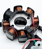 Mototronica, statore, statore, bobina, magnetica, elettronica K.T.M. 250 300 EXC H.u.s.q.v.a.r.n.a TE H.u.s.a.b.e.r.g. TE 2008-2016