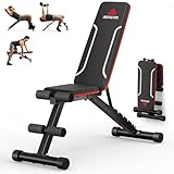 Roygym Panca Palestra Pieghevole, Panca Piana con schienale regolabile in 9 posizioni, Panca pieghevole multifunzione per allenamento, fitness, panca inclinata, carico 300 kg