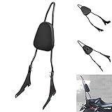Benlari Cuscinetto per schienale passeggero rimovibile Sissy Bar nero lucido compatibile 2004-2023 per Harley Davidson Sportster XL 1200 883 SuperLow Iron 48 (Tall Sissy Bar)