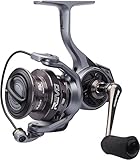 Abu Garcia Revo SX Spinning Reel, mulinello da pesca Predator, pesca in acqua dolce, pesce persico, luccio, luccio, luccio, luccioperca, rapporto di trasmissione 6,2:1, robusto e leggero, 9+1 numero