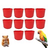 Bicchieri d'acqua per polli | Ciotola per cibo per uccelli – Multifunzionale 226,8 g antigoccia anti-punta tazza d'acqua per alimentazione all'aperto Farm Coop