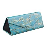 Grupo Erik: Custodia Porta Occhiali Van Gogh | Portaocchiali Astuccio Rigido e Pieghevole, Custodia Occhiali da Sole e da Vista