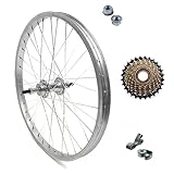 RUOTA/CERCHIO POSTERIORE 26" X 1.75 + RUOTA LIBERA 7 VELOCITÀ BICI ATTACCO STANDARD ALLUMINIO/ACCIAIO 26X1.75 OLANDA - BICICLETTA CITY BIKE - PASSEGGIO DADI DI FISSAGGIO E FLAP INCLUSI