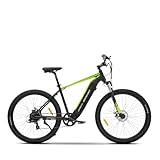 Argento Performance Mountain e-bike, Bici Elettrica, Batteria 468W, Motore 250W, Cambio Shimano 7 rapporti, Freni a Disco, Ruote 29"