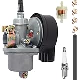 ZAMDOE Kit carburatore Motore Bici per Motore motorizzato per Bicicletta 80cc 66cc 60cc 50cc 49cc 2 Tempi, per Eton Rascal 40 e Viper Jr 40 IXL40 RXL40 RXL40E con Filtro Carburante Candela