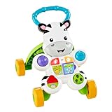 Fisher-Price Zebra Primi Passi Spingibile, Giocattolo Elettronico Educativo con Musica e Suoni, per Camminare, per Bambini di 6+ Mesi, Italiano Imballaggio Sostenibile, HBB66