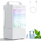 Condizionatore Portatile Raffreddatore d'aria 4 in 1,Climatizzatore Portatile Silenzioso con 90° Oscillazion,3 Velocità,Modalità di Spray, Timer 2/4H,Climatizzatore 900ml per Casa Ufficio Campeggio