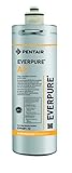 Everpure Filtro Acqua Potabile a Carboni Attivi EV960112 - 1 Unità