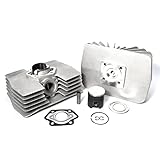 53498.00 Gruppo Termico Cilindro 80 CC Dm 48 Corsa 42 Parmakit Minarelli P4 P6 CON TESTA RADIALE