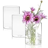 WIYETY Set di 3 vasi cilindrici in vetro: vasi decorativi minimalisti, moderni, vasi in vetro trasparente, per decorazione da tavolo, soggiorno, camera da letto, matrimonio, compleanno, bagno