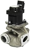 VALEO 700474 Valvola ricircolo gas scarico EGR Modulo EGR Modulo: NO Con bypass: NO Tecnologia: ELECTRIC Norme sulle emissioni dei gas di scarico