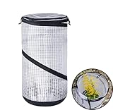 Serra pop-up piccola – Mini serra da giardino – 60 x 30 cm piccolo fungo vegetale – pellicola protettiva per piante