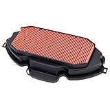 Road Passion 17210-MGS-D30 Motorcycle Filtro Aria Compatibile con HONDA NC700 NC 700 2012 2013 2014 2015 2016 2017 2018 /CTX700 CTX 700 2014 2015 2016 2017