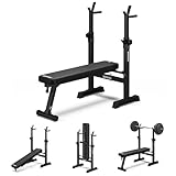 Panca Sollevamento Pesi Zipro Core: Regolabile, Pieghevole per Bench Press e Push-Up, 230 kg Capacità - Stazione Allenamento Versatile Senza Barra