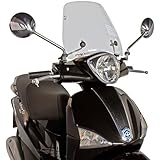 Puig 5672W parabrezza modello Traffic Liberty 50/125/150/200 04-10