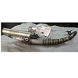 31601RK MARMITTA SCARICO GIANNELLI RECORD PIAGGIO NRG MC3 GILERA RUNNER TYPHOON