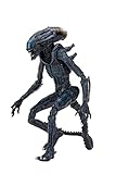 NECA Reel Toys Aliens Arachnoid Alien 22,9 cm Figura 2021