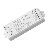 Planetitaly Controller LED WT1 WiFi per strisce faretti centralina SMART dimmer WiFi 2.4G CCT da 3000K a 6500K 2CH 12-24V APP, Smartphone, Controllo remoto, Compatibile Google Home Amazon Alexa