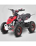 T-MOTO - Mini quad a motore per bambini RAPTOR Ruota 6 - Mini quad 50cc a 2 Tempi - Mini Quad a benzina Raffreddamento ad aria - Quad bambini benzina