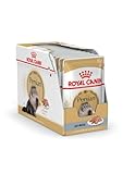 ROYAL CANIN Adult Persian 12 x 85GR Pagno-Mousse