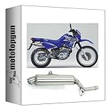 arrow 72011PD scarico race paris dacar inox compatibile con yamaha xt 600 e 1990 1991 1992 1993 1994 mototopgun