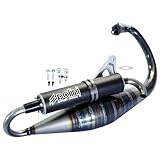 Auspuff Polini For Race 4 TWD für Minarelli stehend