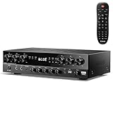 Donner Amplificatore Hi-Fi a 6 canali con potenza massima di 1000 W con Bluetooth 5.3, USB, FM, 2 ingressi microfono, eco, RCA, ingresso fibra/coassiale per casa, karaoke, MAMP6