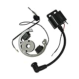 Nuova bobina di accensione del volano del rotore dello statore Fit KTM 50 SX Senior Mini Adventure