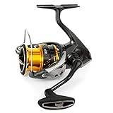 Mulinello Twin Power FD 4000