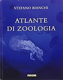Atlante di zoologia