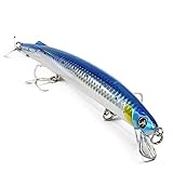 Seaspin Mommotti 190 S SAR - Esca Artificiale da Pesca