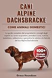 CANI ALPINE DACHSBRACKE COME ANIMALI DOMESTICI: La guida completa del proprietario: consigli degli esperti su come acquistare, prendersi cura, ... e la felicità del tuo Alpine Dachsbracke