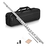 Ohulelks 16 Fori Aperti Chiusi Chiave C Flauto Traverso Professionale Strumento Musicale da Concerto con In Stick di Panno per La Pulizia Della Scatola