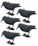 Brandsseller Corvo Nero in Plastica 36 x 20 cm Repellente per Piccioni Deterrente per Uccelli Contro Piccoli Uccelli e Piccioni Spaventatore per Animali - Set da 5