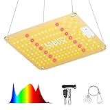 Niello Lampada per Piante con dimmer, QB1200W Grow Light con IR, High PPFD Sunlike Full Spectrum lampade LED Coltivazione per Indoor Veg And Bloom, Lampade per la Coltivazione Coprire 60 * 60cm