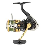 Daiwa Moulinet Spinning Crossfire Lt Pe Tsuki 2023 + J-Braid X4 2000 - 240g - R.5.3 - Tmv.71cm - Bk.2kg - CF23LTPET2000
