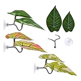 Amaca Per Pesci Betta,Foglia Per Il Riposo Dei Pesci Betta In Acquario | Comodo Naturale Per Guppy 4 Pezzi Lettini Vasca Riposo