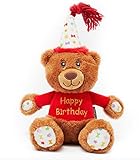 Pet London Orso giocattolo per cani con scritta Happy Birthday, regalo per festeggiare il compleanno o l'adozione, morbido peluche regalo per cane o cucciolo con messaggio di compleanno ricamato,