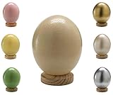 Klocke Dekorationsbedarf Uovo di struzzo sudafricano Natura – Alta qualità – 1 pezzo (senza piedistallo) – Svuotato & soffiato e pulito (naturale (bianco avorio))