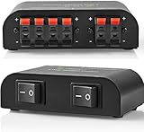Techly 103267 Commutatore Audio per Casse Acustiche 2 Vie con Terminali a Pressione Nero
