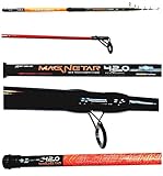 Canna Pesca Surfcasting 200g Surf Casting Telescopica Carbonio