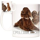 Tazza regalo Red Setter Immagini di Red Setter Dogs Adorn This 325 ml Tazza in ceramica Pedigree Dog Show. Crufts Dog Show Kennel Club Pedigree Cucciolo di razza