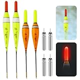 BNGXR 4 Pezzi Galleggiante da Pesca, Galleggiante Pesca Set, 6 g/10 g LED Galleggianti da Pesca, con sensore Gravity e Base in Metallo, per la Pesca in Lago, Fiume o Stagno