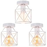 iDEGU Set di 3 lampadari da soffitto industriale E27 lampada da soffitto in ferro vintage, lampada a sospensione a gabbia, diametro 15 cm, illuminazione da soffitto per soggiorno, camera da letto,