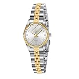 aswan watch Orologio analogico da donna al quarzo con cinturino in acciaio inossidabile,classico ed elegante orologio da donna con quadrante decorato con diamanti,cassa da 26 mm,lancette luminose