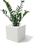Kloris Vaso Cubo Moderno fioriera quadrata mod. Ellenico 25 polietilene col. bianco cm 25X25 altezza cm 25. Made in Italy.