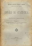 Annali di statistica. Statistica industriale. Fasc.I. Programma dell'inchiesta e monografie delle codizioni industriali delle provincie di Arezzo e di Vicenza.
